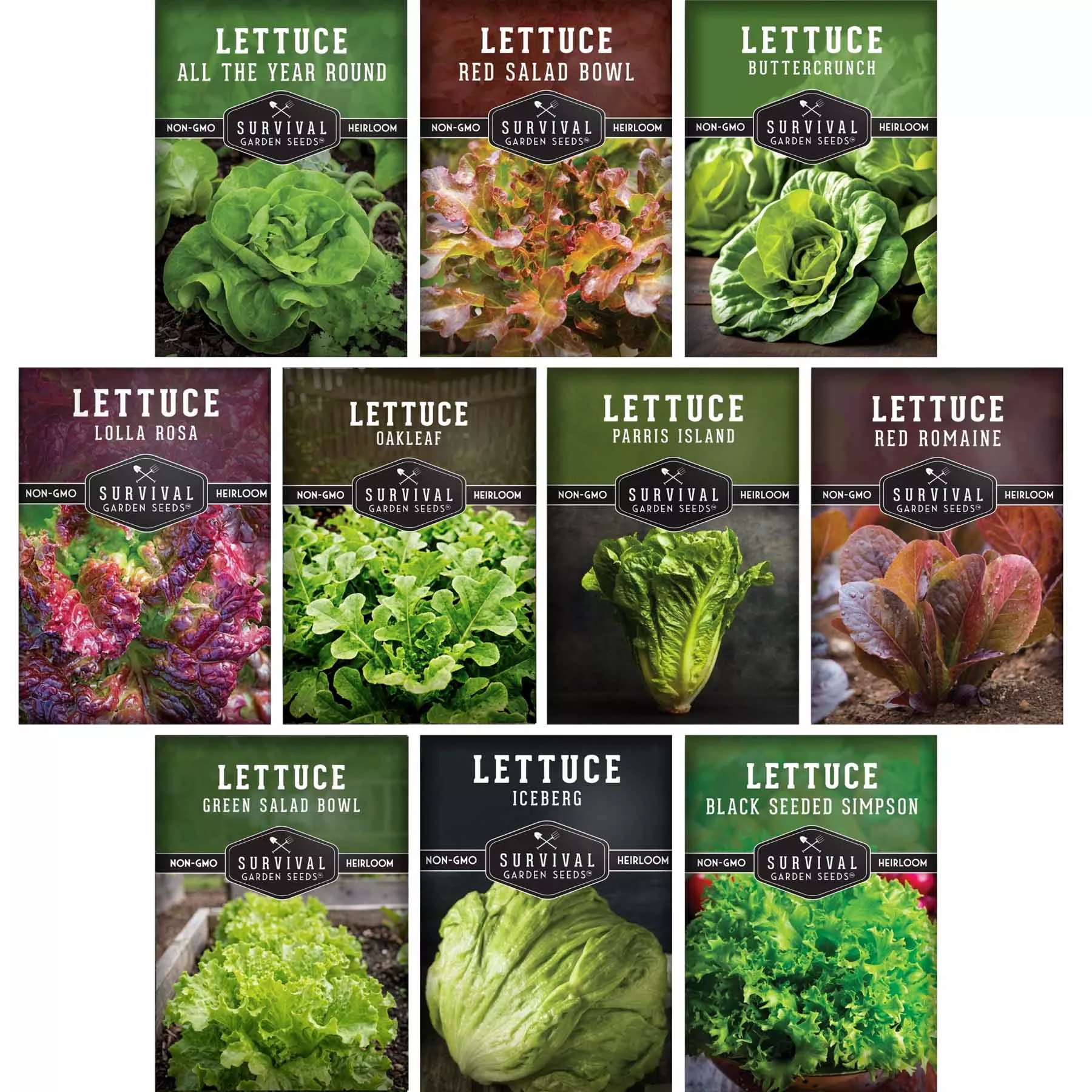 10-lettuce-seed-collection-looseleaf-romaine-butterhead-crisphead-varieties-year 10 Lettuce Seed Collection – Looseleaf, Romaine, Butterhead & Crisphead Varieties for Year-Round Salad Harvests