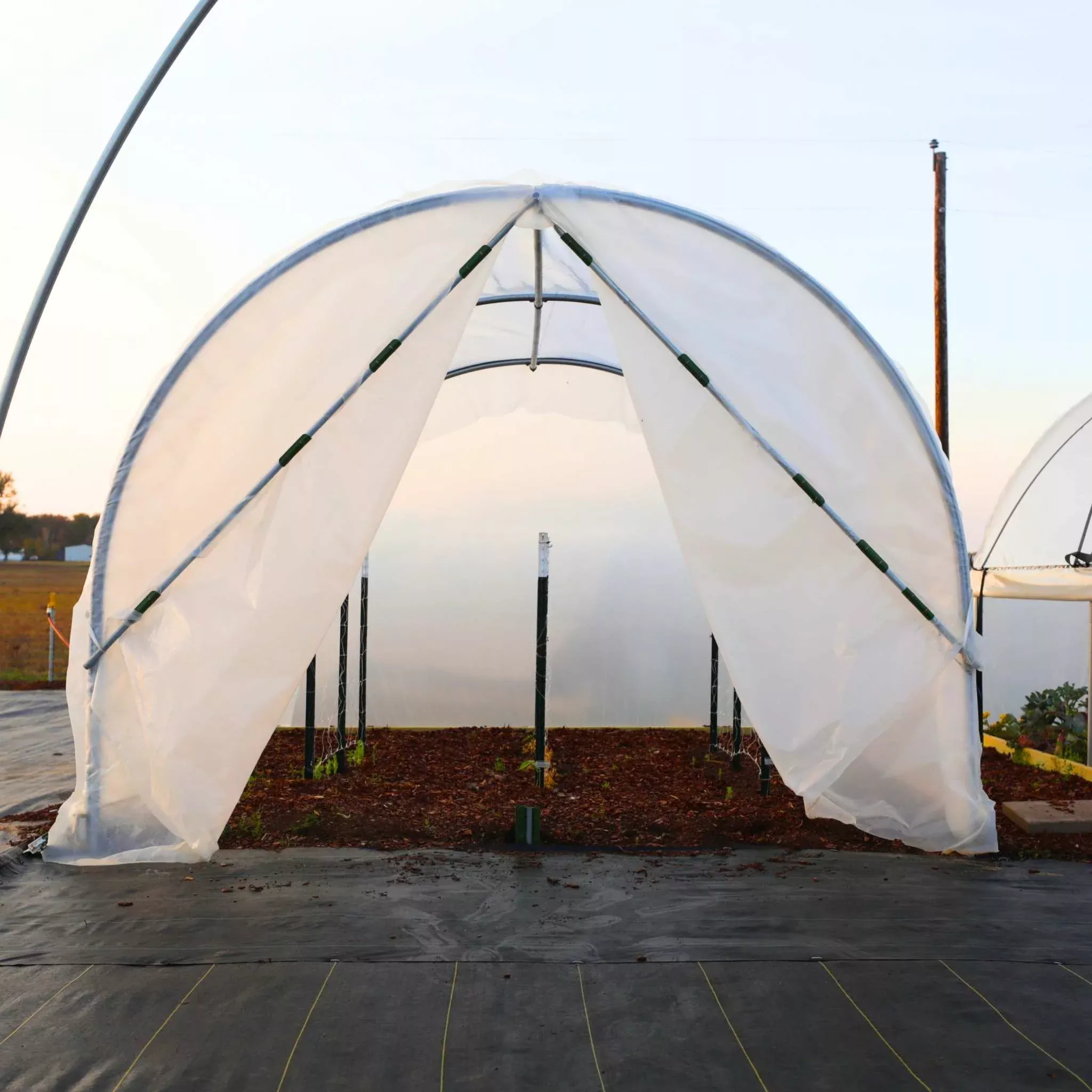 10' x 12' Backyard Greenhouse Kit with Scissor Door & Roll-Up Sides