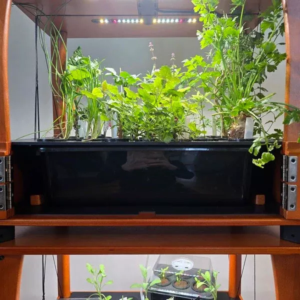 13l-water-tank 13L Water Tank