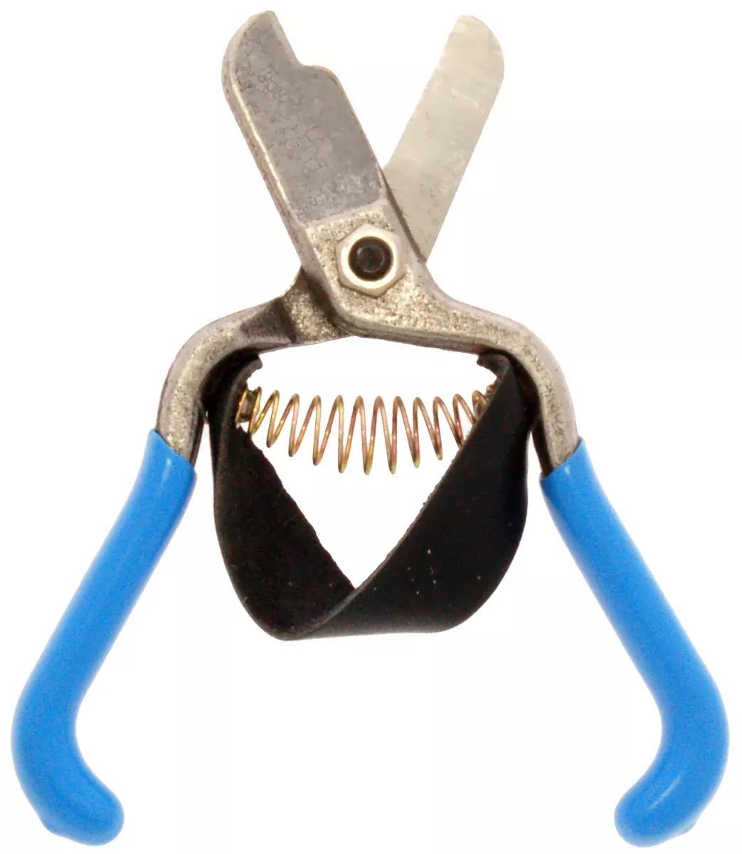 5-5-forged-lemon-shear-w-pvc-grips 5.5” Forged Lemon Shear w/PVC grips