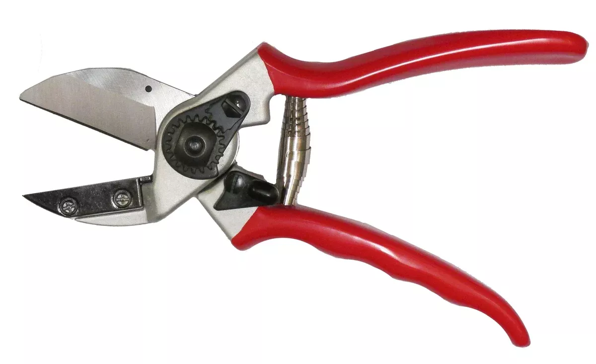 6-3-anvil-hand-pruners-1-inch-cutting-capacity 6.3” Anvil Hand Pruners, 1-inch Cutting Capacity