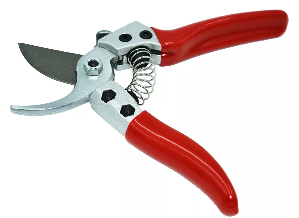 6" Japanese Style Pruner