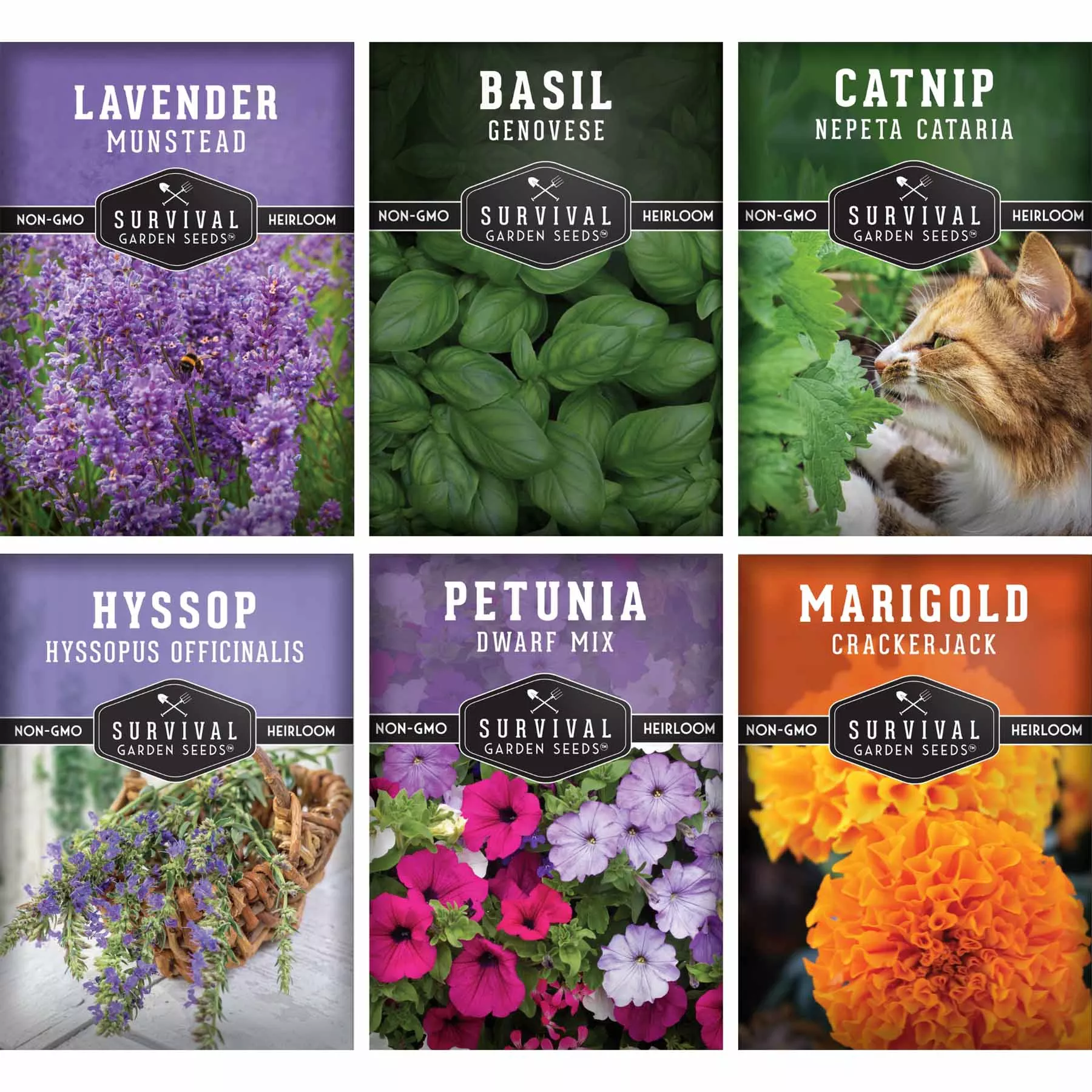 6-pest-defense-herb-flower-seeds-repel-garden-pests-naturally 6 Pest Defense Herb & Flower Seeds - Repel Garden Pests Naturally