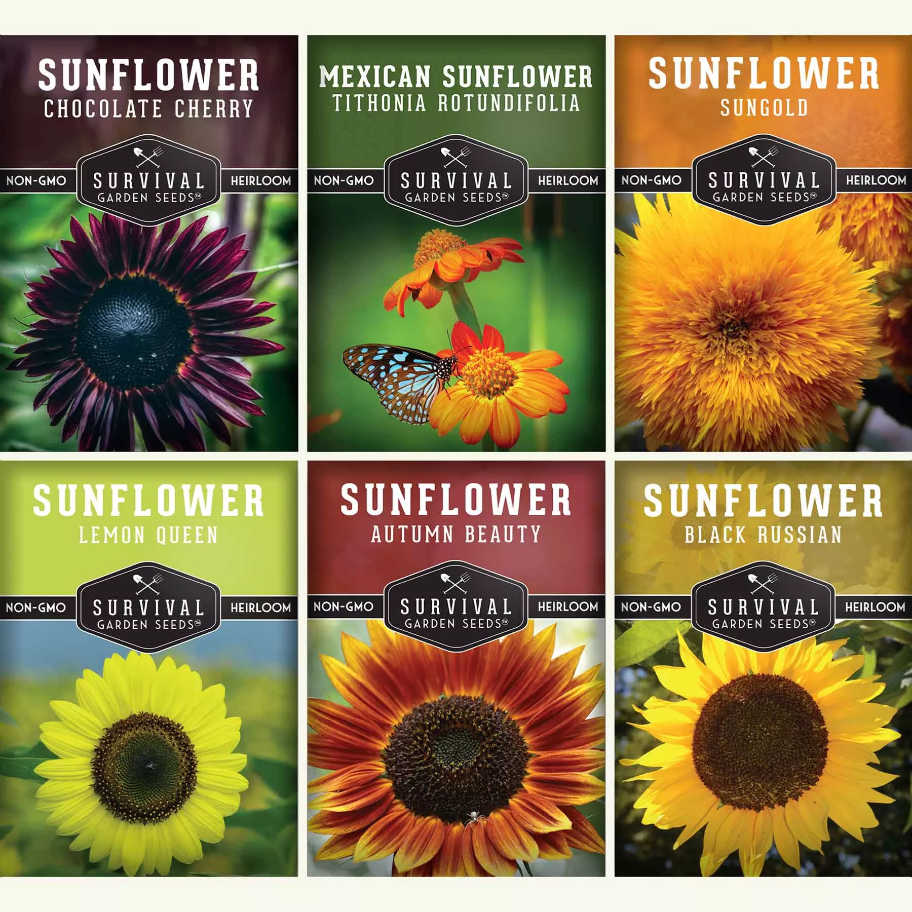 6-sunflower-collection-rainbow-colorful-sunflowers 6 Sunflower Collection -A Rainbow of Colorful Sunflowers