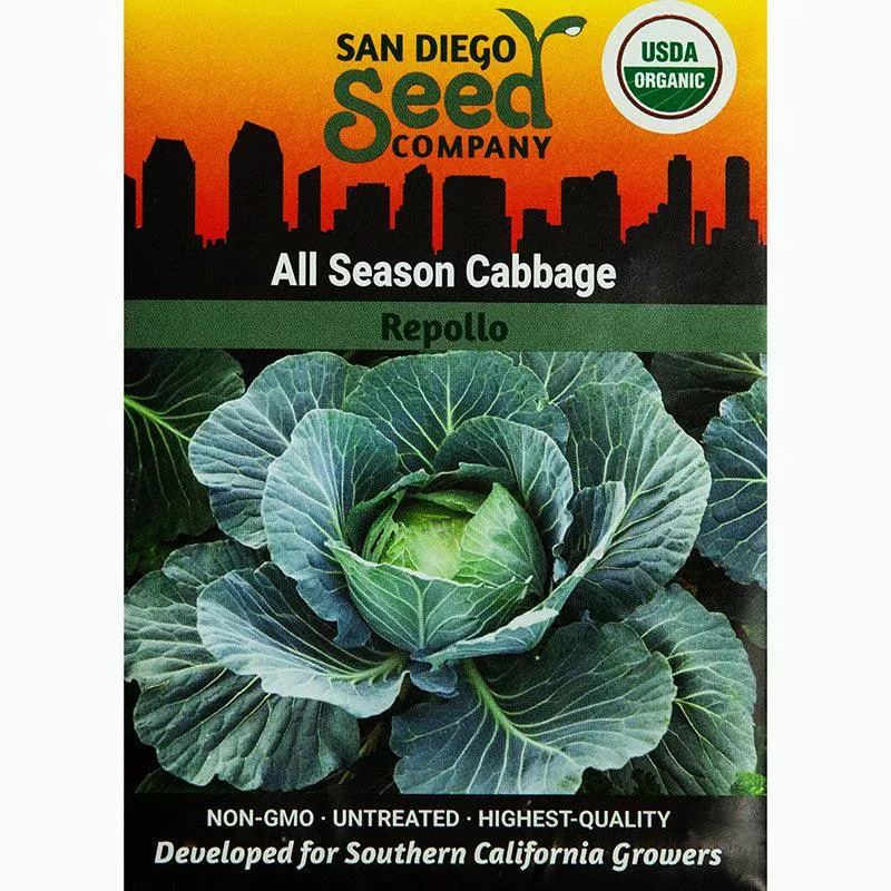 All Season Cabbage Seeds (Organic)