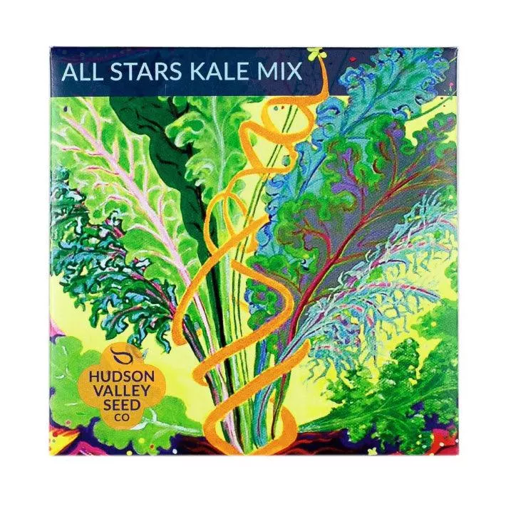 All Stars Kale Seeds (Organic)