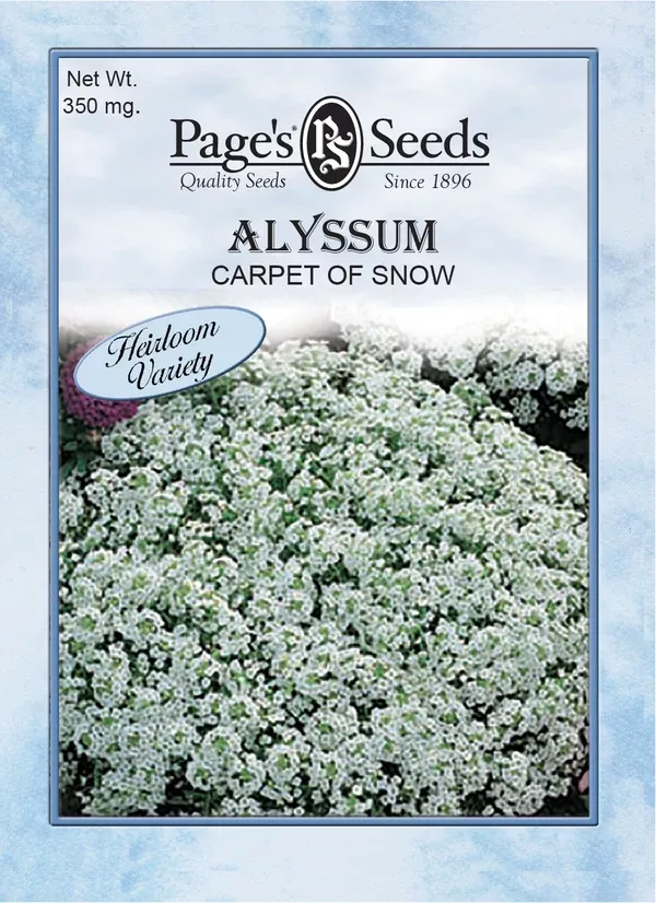 alyssum-carpet-snow-seeds-1-packet Alyssum Carpet of Snow Seeds - 1 Packet