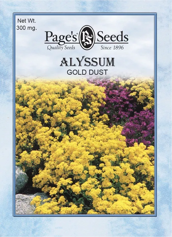 alyssum-gold-dust-seeds-1-packet Alyssum Gold Dust Seeds - 1 Packet