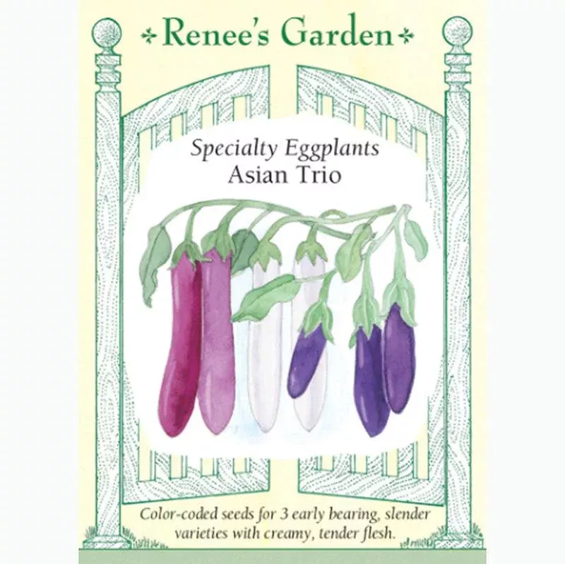 ‘Asian Trio’ Specialty Eggplant Seeds