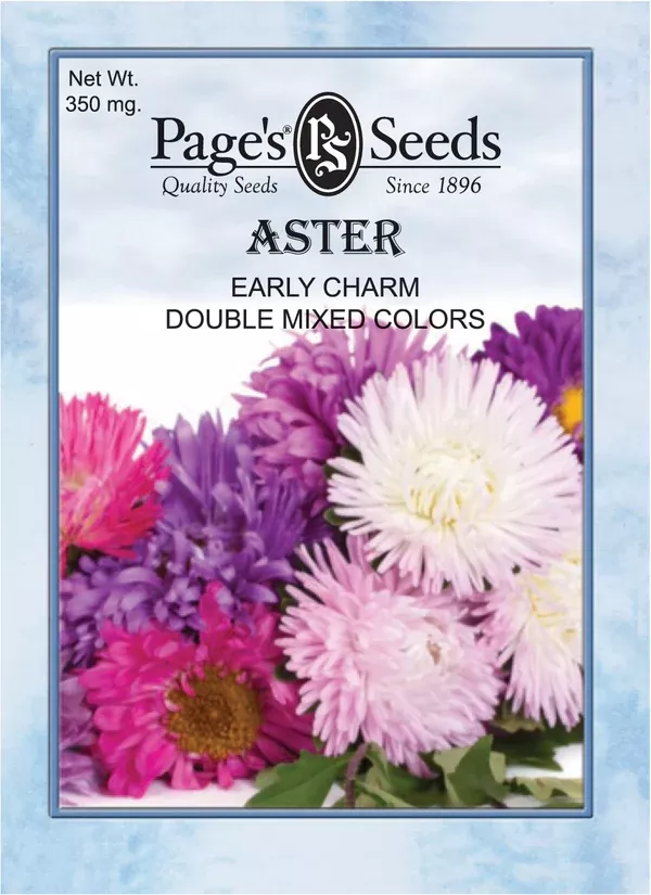 aster-early-charm-double-mix-seeds-1-packet Aster Early Charm Double Mix Seeds - 1 Packet