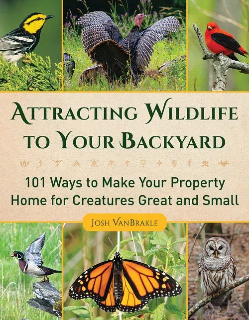 attracting-wildlife-to-your-backyard Attracting Wildlife To Your Backyard