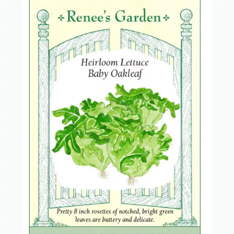 ‘Baby Oakleaf’ Heirloom Lettuce Seeds