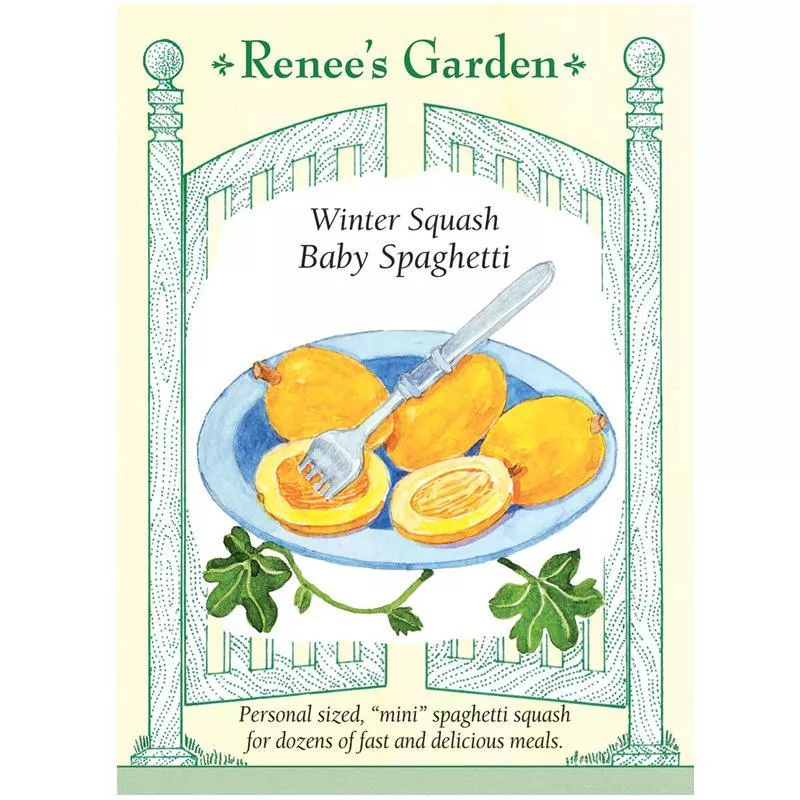 ‘Baby Spaghetti’ Personal Size Winter Squash Seeds