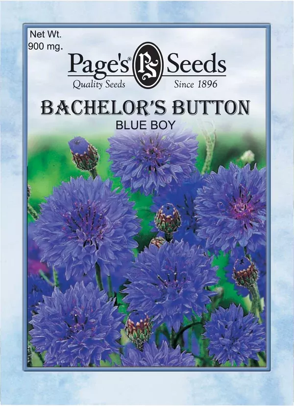 bachelor-s-button-blue-boy-seeds-1-packet Bachelor’s Button, Blue Boy Seeds - 1 Packet