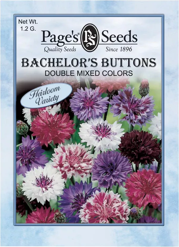 bachelor-s-button-double-mix-seeds-1-packet Bachelor’s Button, Double Mix Seeds - 1 Packet