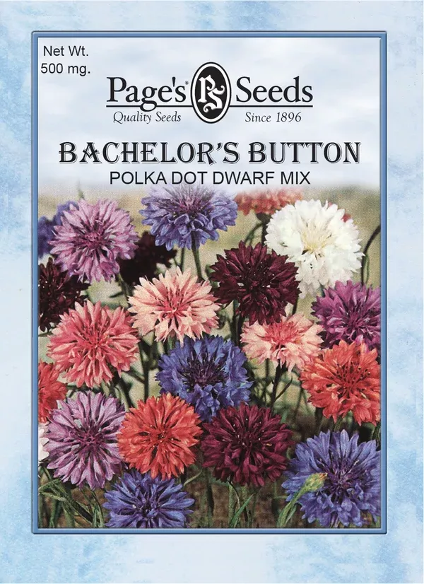 bachelor-s-button-polka-dot-dwarf-mix-seeds-1-packet Bachelor’s Button, Polka Dot Dwarf Mix Seeds - 1 Packet