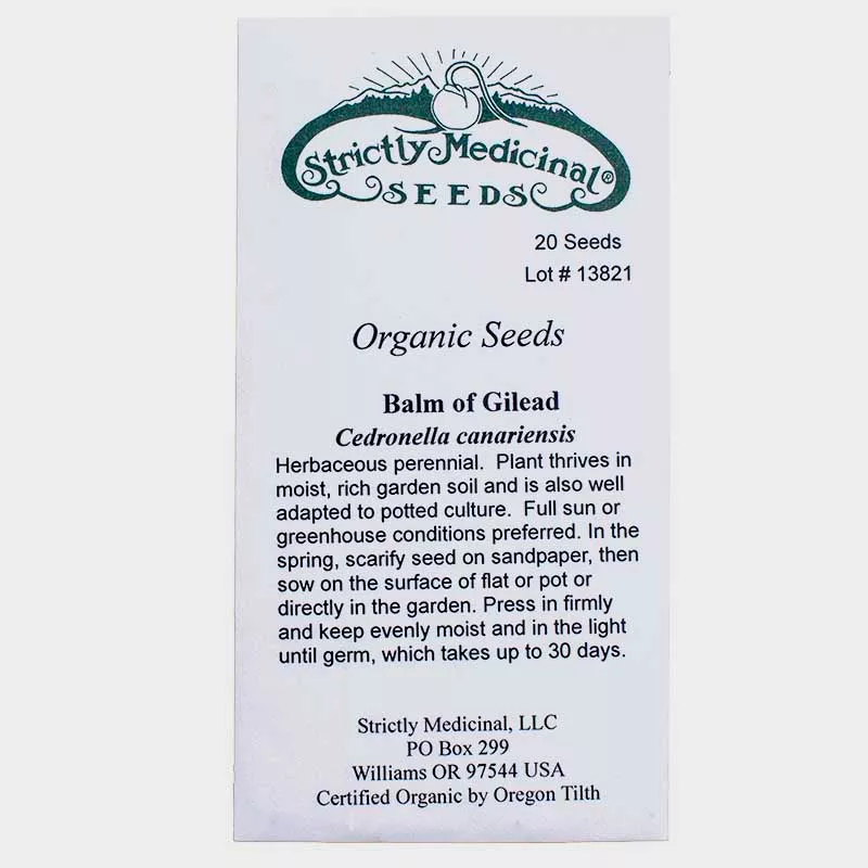 balm-gilead-seeds-organic Balm of Gilead Seeds (Organic)