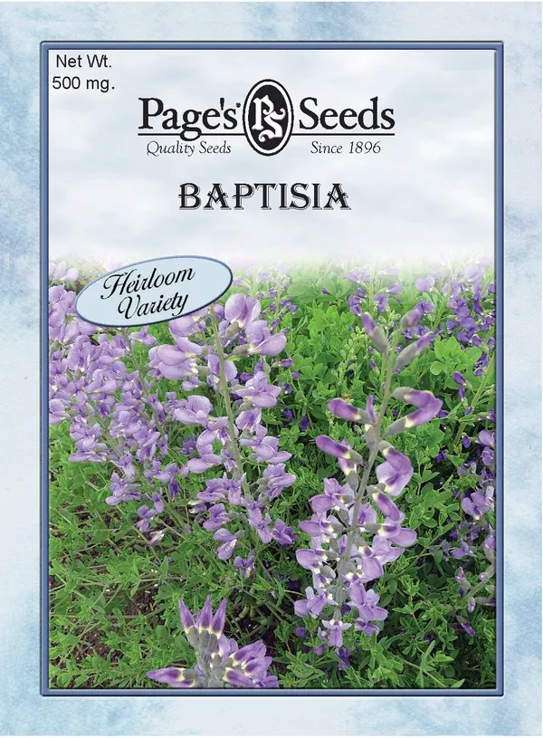 baptisia-blue-wild-indigo-seeds-1-packet Baptisia, Blue Wild Indigo Seeds - 1 Packet