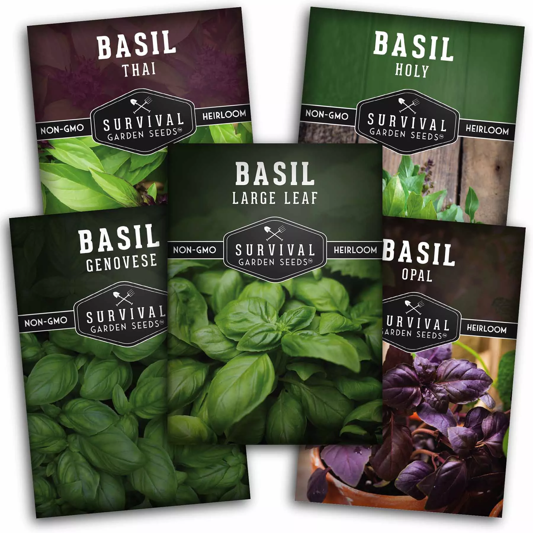 basil-seed-collection-5-colorful-tasty-varieties-basil Basil Seed Collection - 5 Colorful and Tasty Varieties of Basil