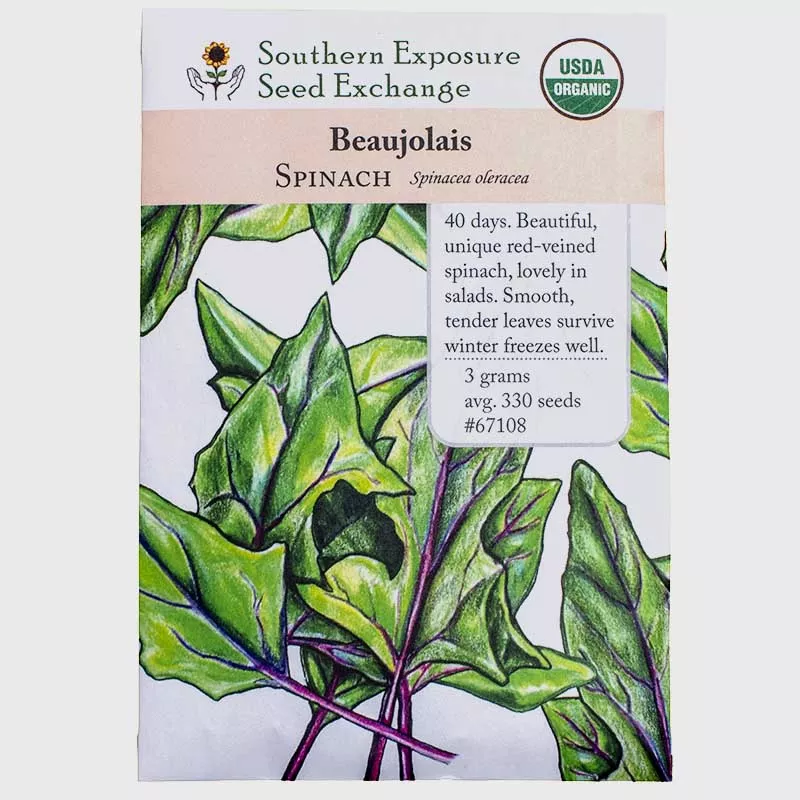 Beaujolais Spinach Seeds (Organic)