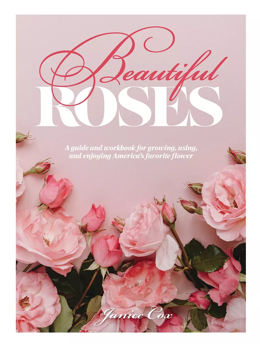beautiful-roses Beautiful Roses