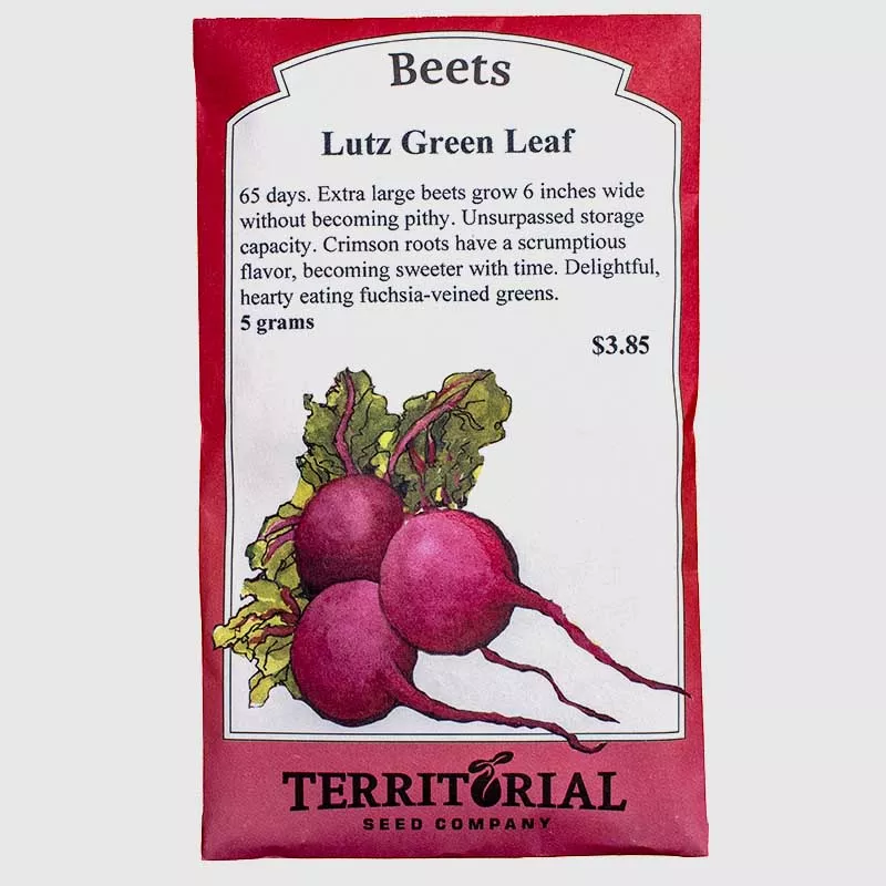 Beet Lutz Green LeafSeeds