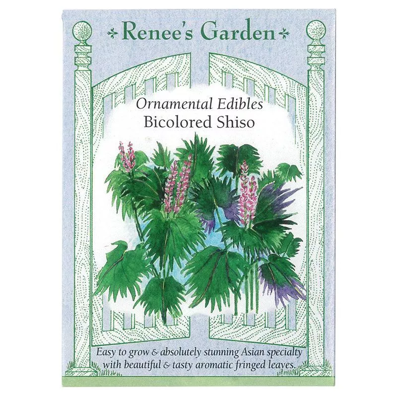 ‘Bicolored Shiso’ Ornamental Edibles Seeds
