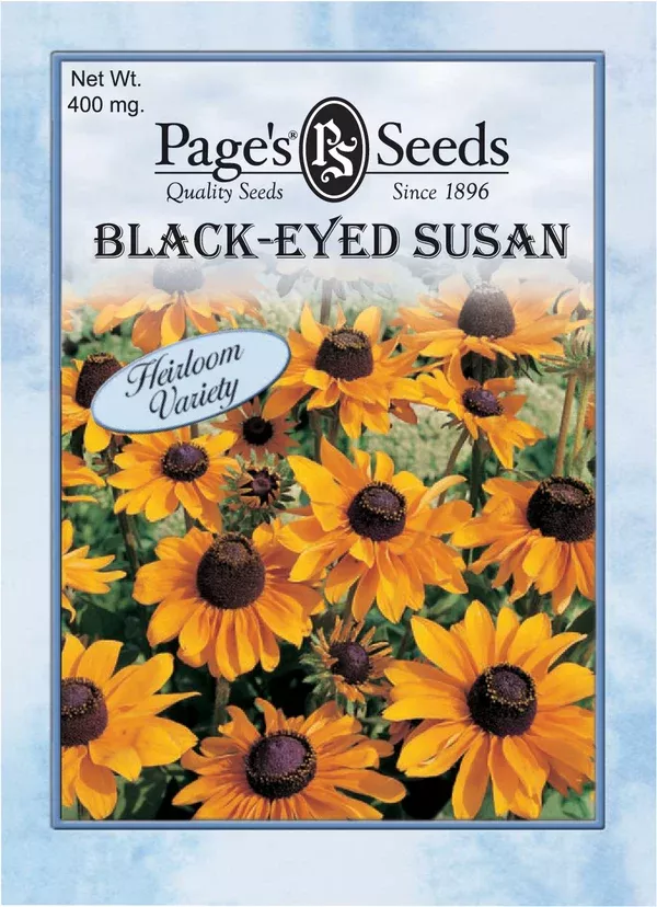 blackeyed-susan-seeds-1-packet Blackeyed Susan Seeds - 1 Packet