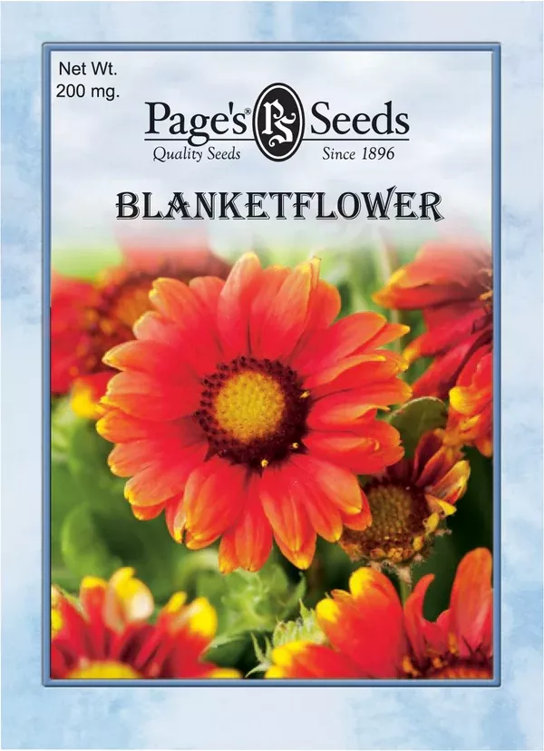 blanketflower-seeds-1-packet Blanketflower Seeds - 1 Packet