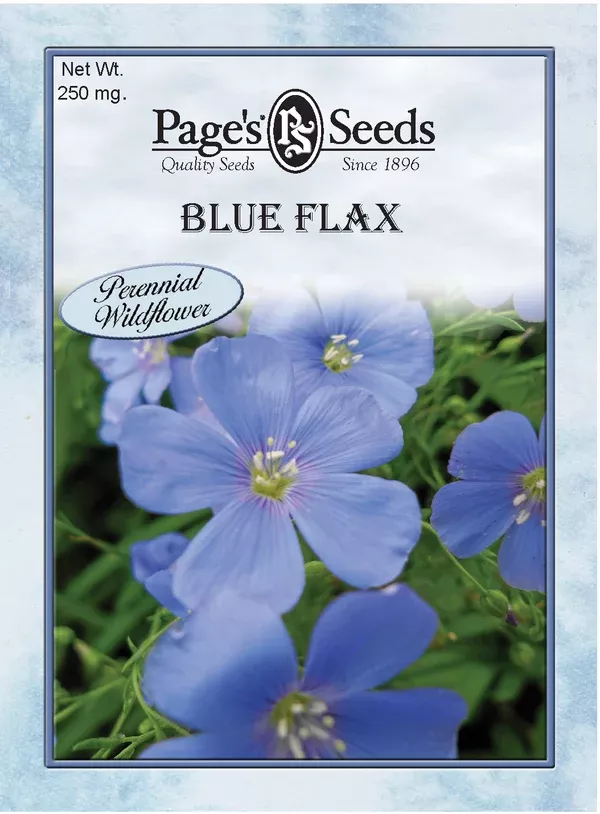 blue-flax-seeds-1-packet Blue Flax Seeds - 1 Packet