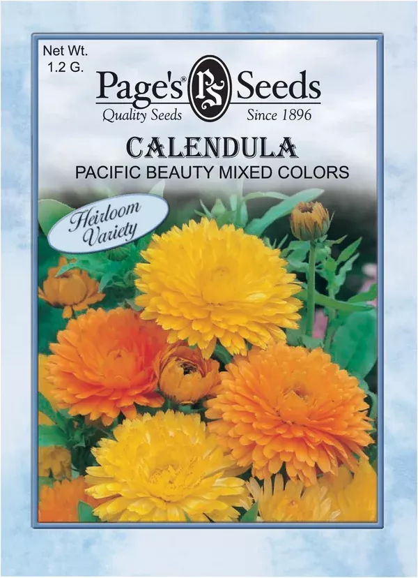 calendula-pacific-beauty-mixed-colors-seeds-1-packet Calendula, Pacific Beauty Mixed Colors Seeds - 1 Packet
