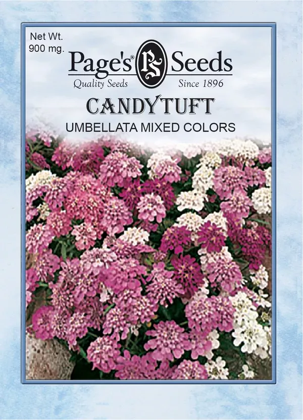 candytuft-umbellata-mixed-colors-seeds-1-packet Candytuft, Umbellata Mixed Colors Seeds - 1 Packet