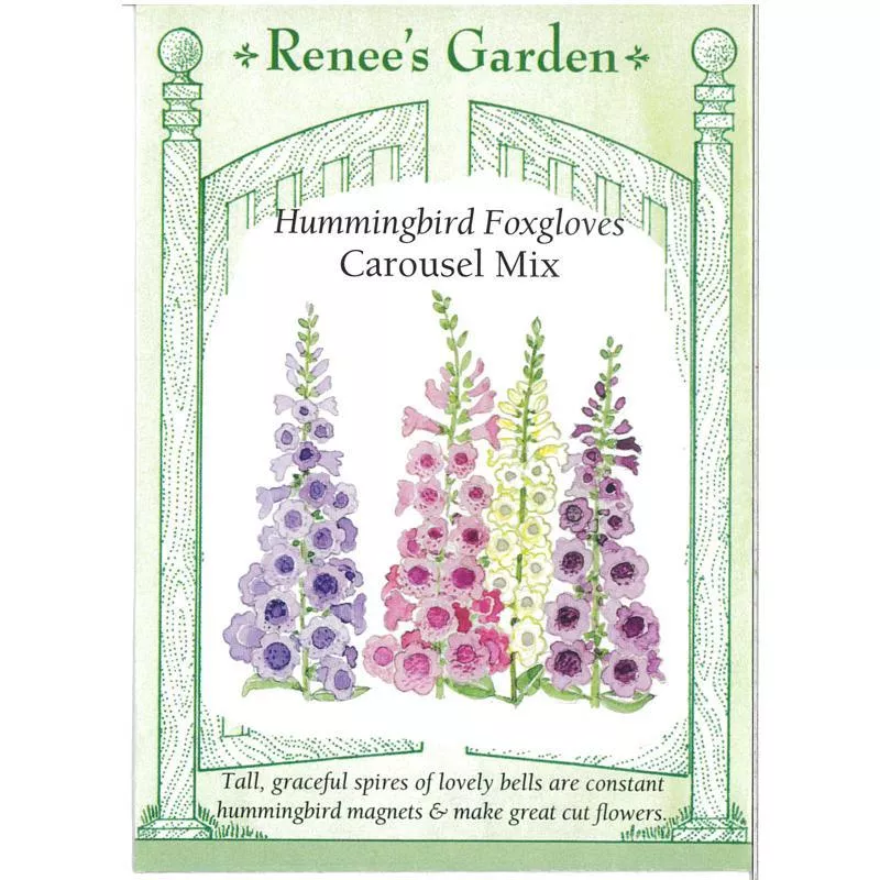 ‘Carousel Mix’ Hummingbird Foxglove Seeds