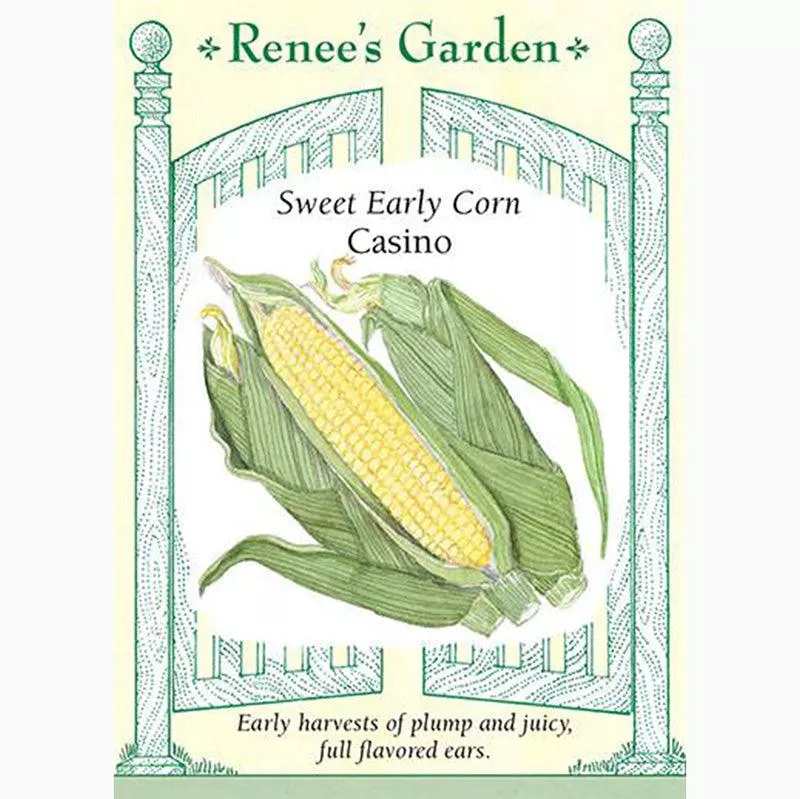 Casino Sweet Early Corn Seeds