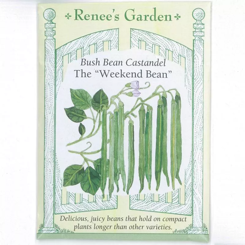 Castandel Weekend Bush Bean Seeds
