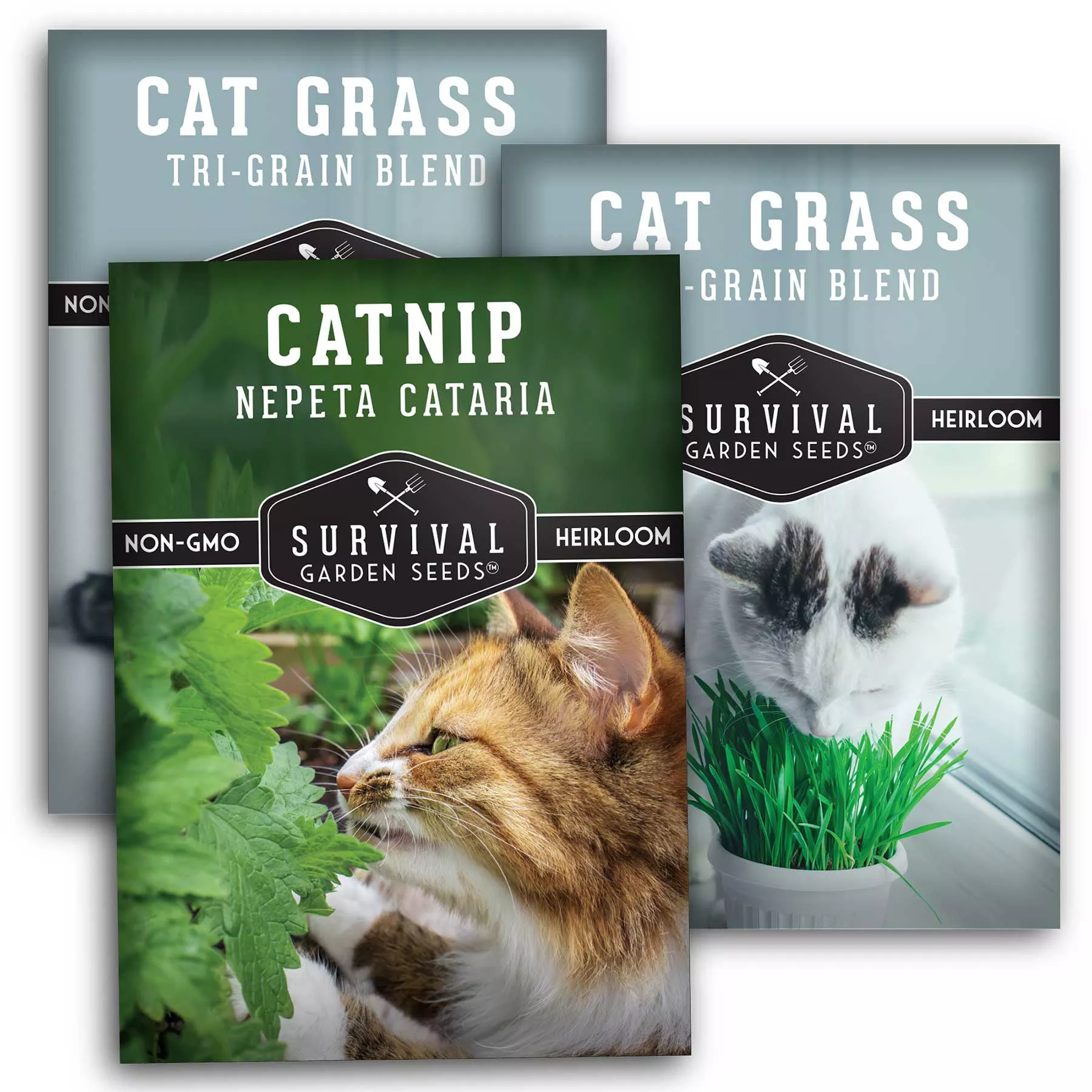 cat-herb-seed-collection-catnip-cat-grass-seed-packets Cat Herb Seed Collection - Catnip & Cat Grass Seed Packets