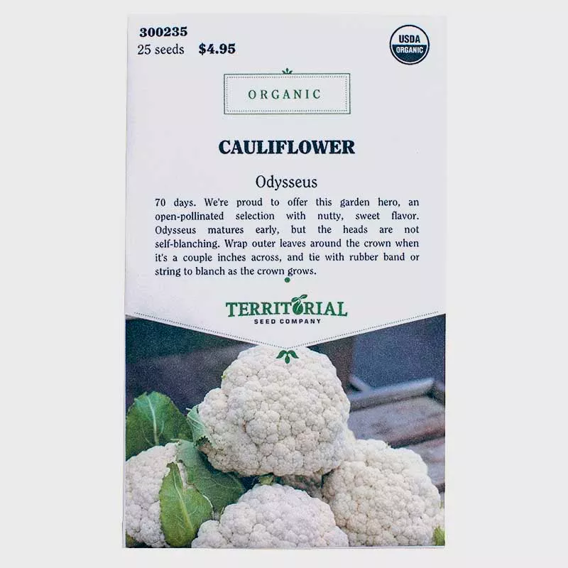 Cauliflower Odysseus Seeds (Organic)
