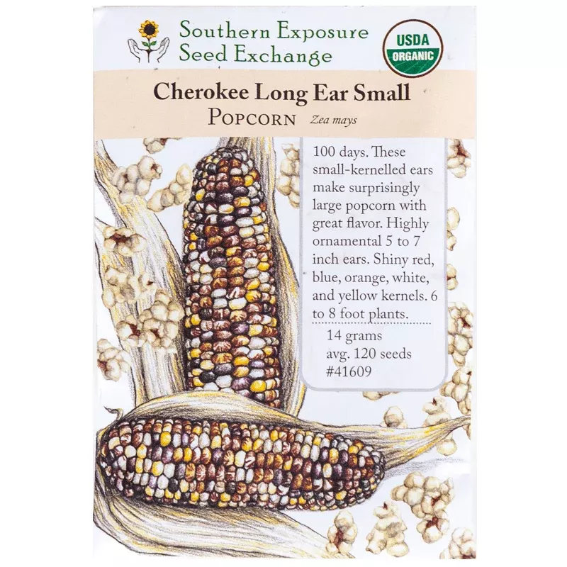 Cherokee Long Ear Small Popcorn Seeds (Organic)