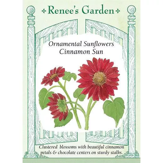 ‘Cinnamon Sun’ Ornamental Sunflower Seeds