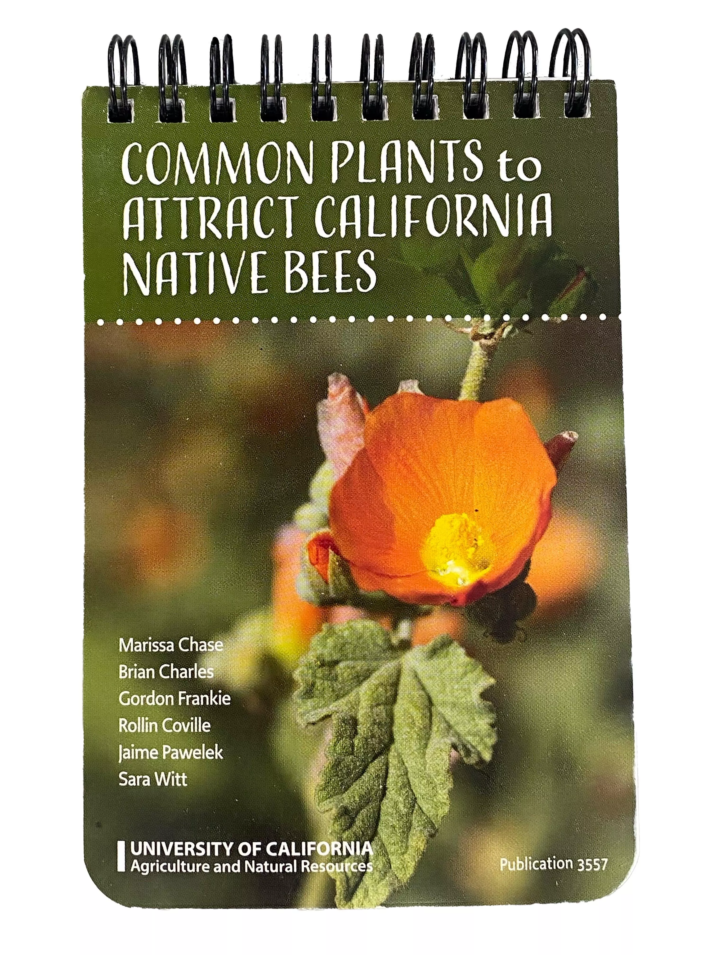 common-plants-to-attract-california-native-bees-id-cards Common Plants to Attract California Native Bees ID Cards