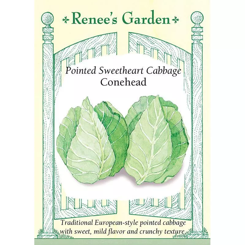 ‘Conehead’ Pointed Sweetheart Cabbage Seeds