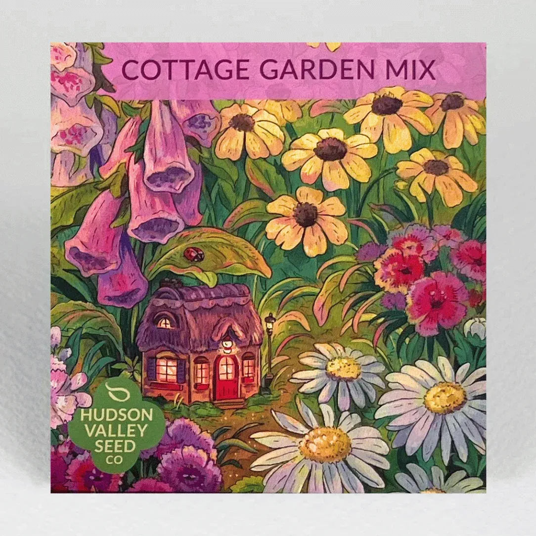 cottage-garden-mix-seeds Cottage Garden Mix Seeds