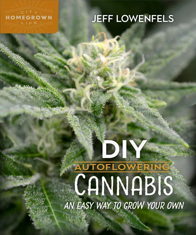 diy-autoflowering-cannabis-easy-way-to-grow-your-own DIY Autoflowering Cannabis: An Easy Way to Grow Your Own