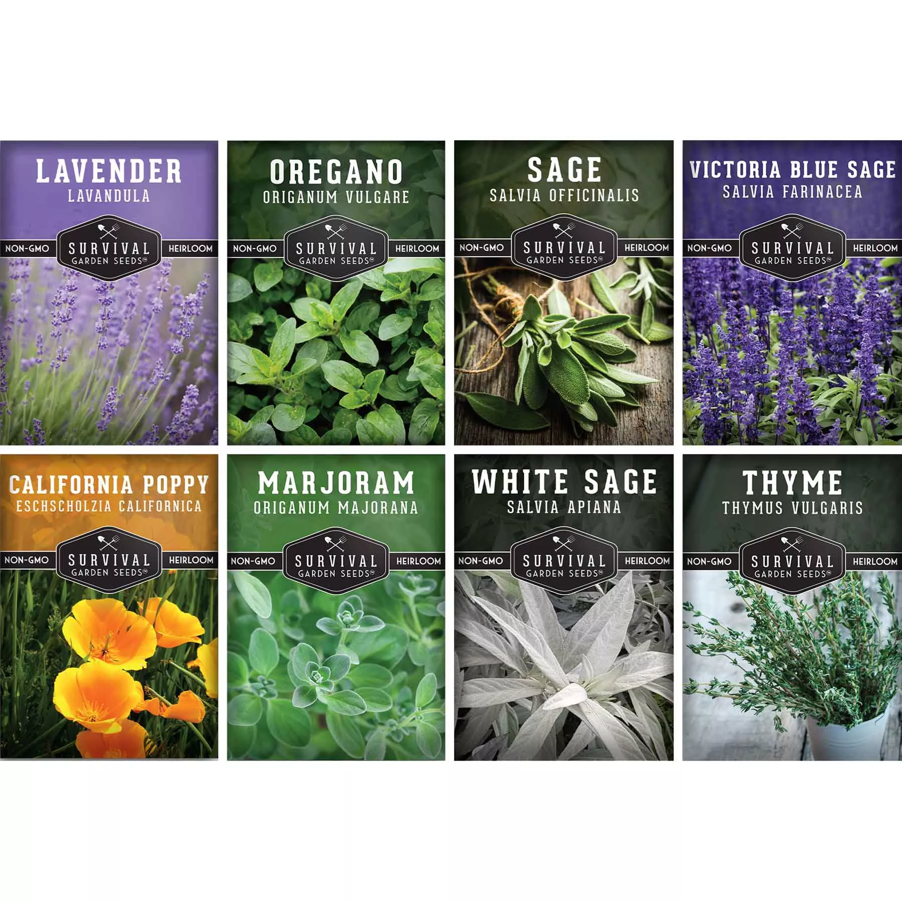 drought-tolerant-seed-collection-8-hardy-herbs-flowers Drought Tolerant Seed Collection - 8 Hardy Herbs and Flowers