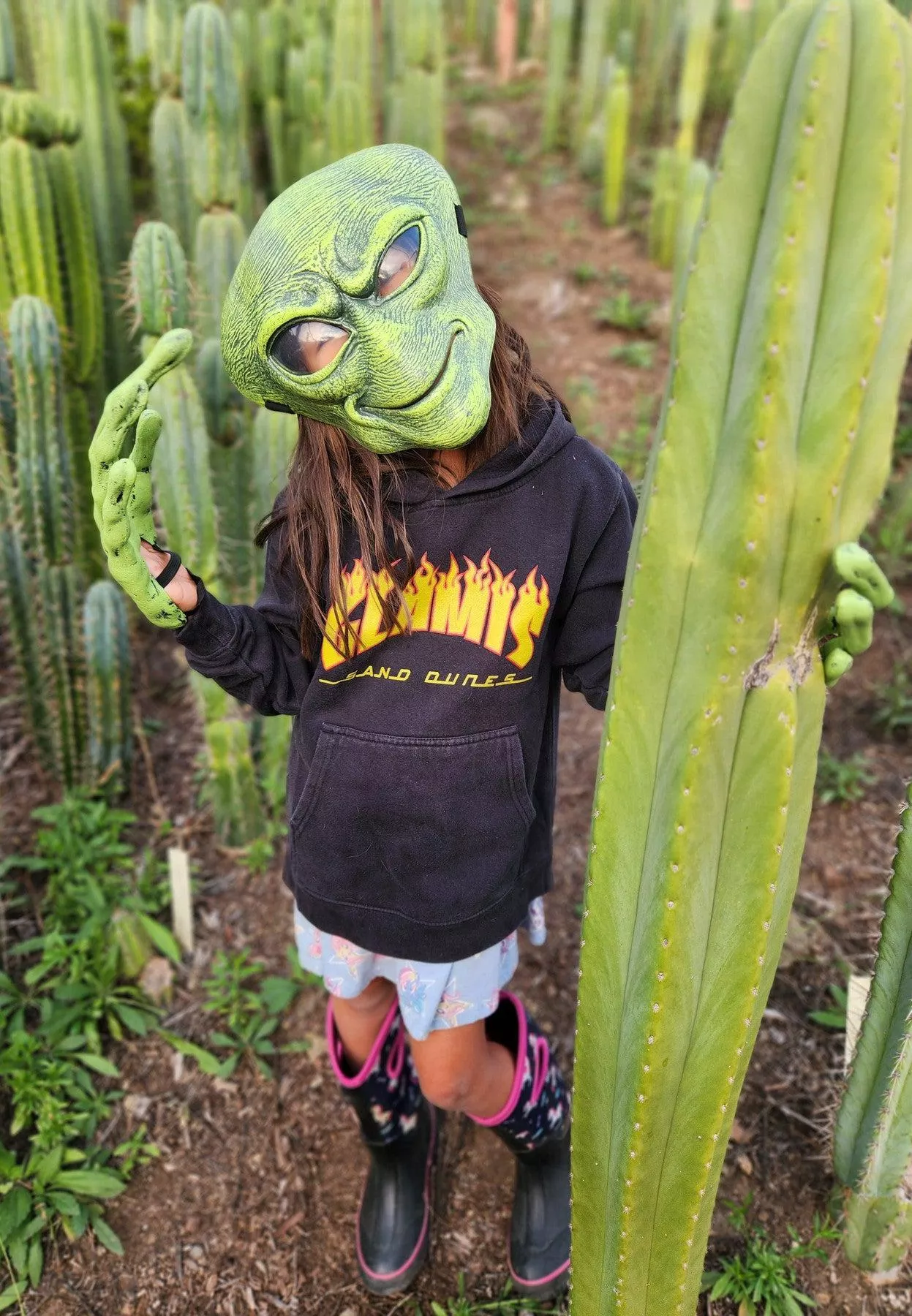 ec35-exact-trichocereus-slop-cutts-from-aliens #EC35 EXACT Trichocereus SLOP Cutts from the Aliens
