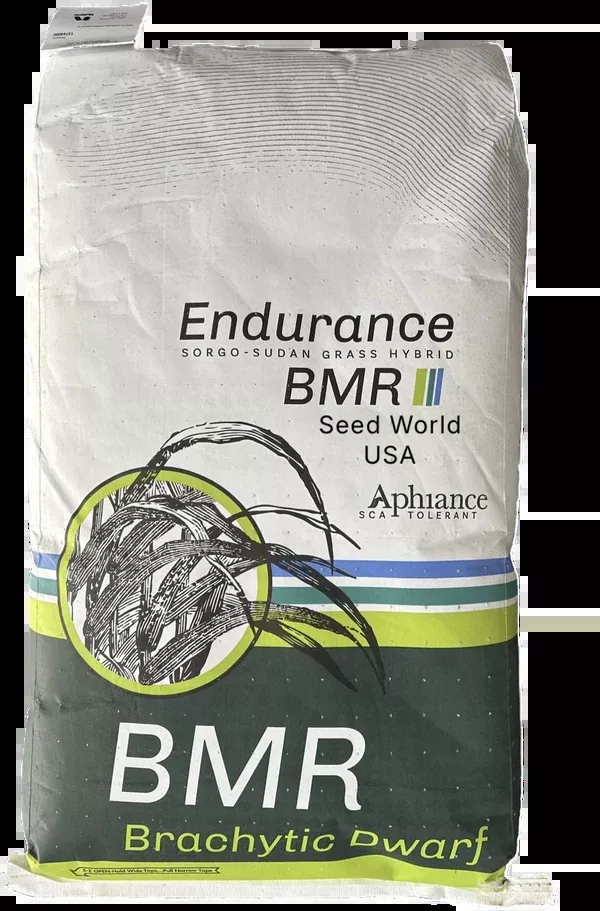 endurance-bmr-sorghum-sudangrass-seeds-aphid-tolerant Endurance BMR Sorghum Sudangrass Seeds (Aphid Tolerant)