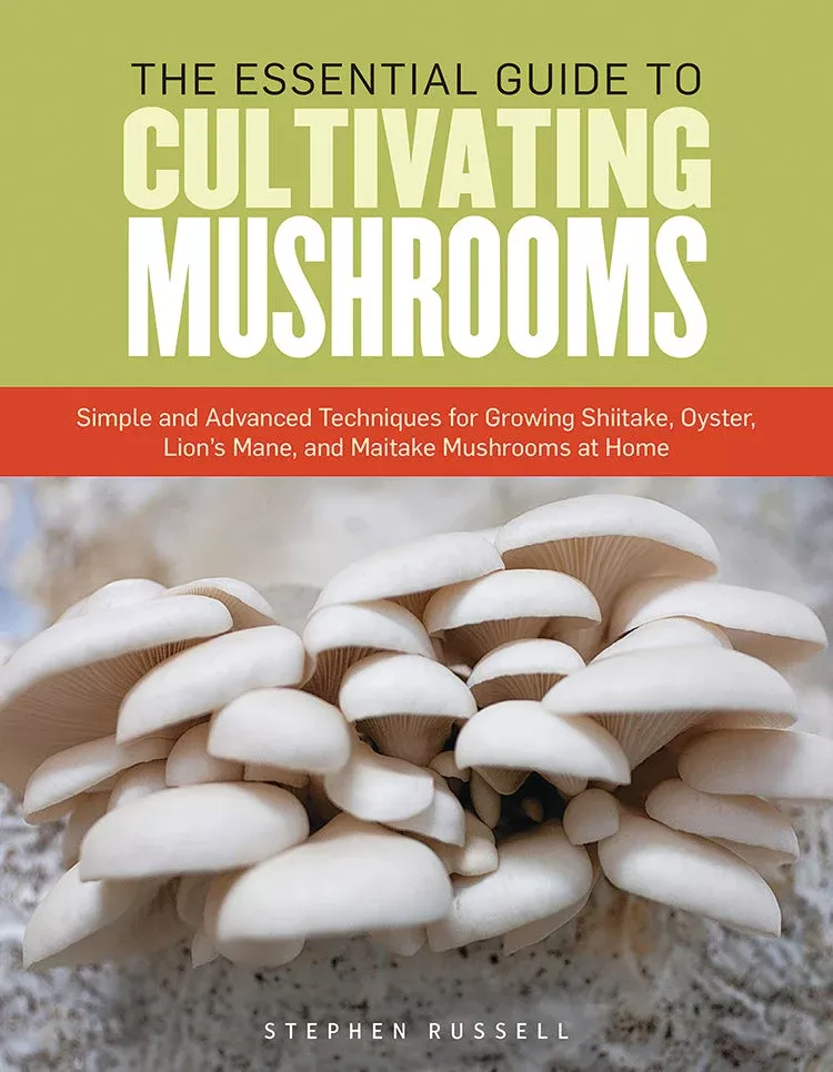 essential-guide-to-cultivating-mushrooms The Essential Guide To Cultivating Mushrooms