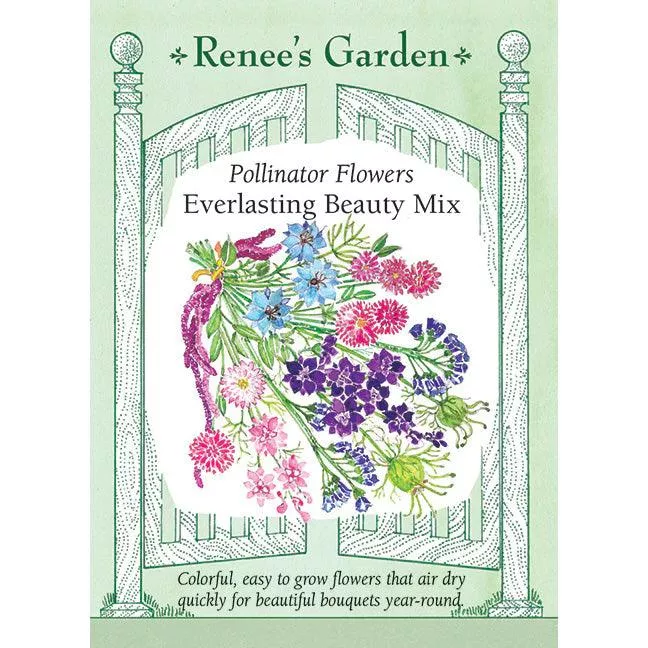 ‘Everlasting Beauty Mix’ Pollinator Flower Seeds