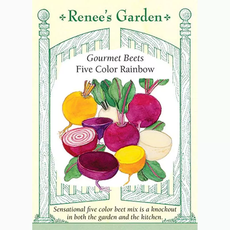 ‘Five Color Rainbow’ Gourmet Beet Seeds