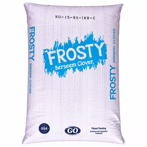 frosty-berseem-clover-seed-coated Frosty Berseem Clover Seed Coated
